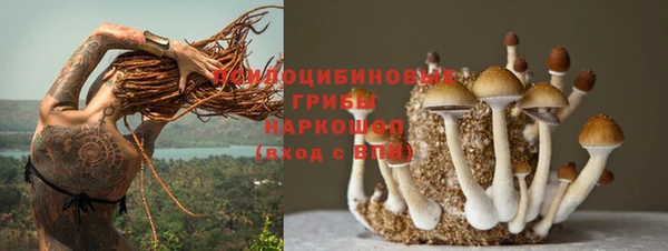 МДПВ Алексин