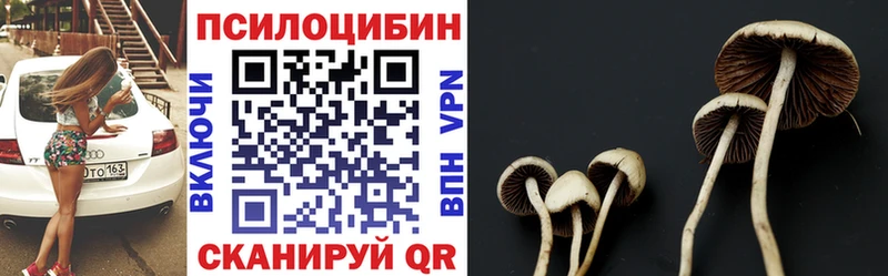 Псилоцибиновые грибы GOLDEN TEACHER  shop какой сайт  Мышкин 
